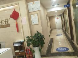 -碧莲盛·不剃发植发