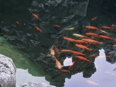 -个园