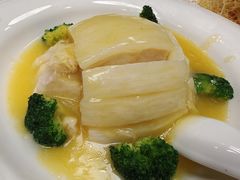 -丁老爷子苏香圆