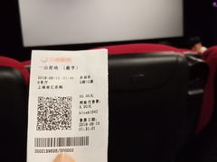 -大地影院(上海南汇店)