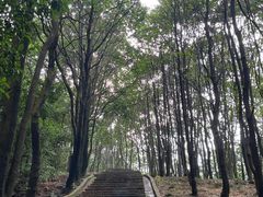 -火炉山森林公园