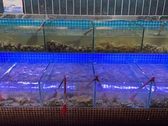 -海韵之星邮轮水会(明发商业广场店)