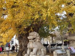 -北京石刻艺术博物馆(五塔寺)