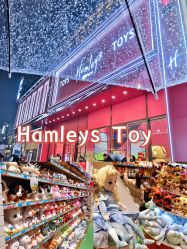 点击看大图 -Hamleys哈姆雷斯(东方福来德店)