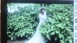 点击看大图 -onlygirl摄影美学馆高端定制(江滩店)