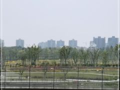 -春花秋色城市公园