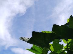 -众神白水涧景区