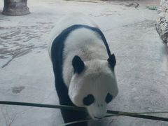 -石家庄市动物园