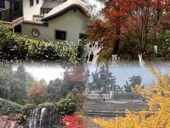 -岳麓山风景名胜区