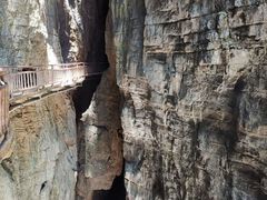 -武陵山森林公园