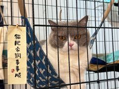 -东土食研所(渔港路店)
