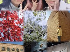 -盘龙城遗址博物院