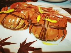 -七星龙虾城·海鲜·大闸蟹(吴江店)