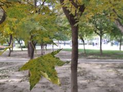 -东北大学(南湖校区)