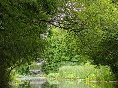 -溱湖国家湿地公园