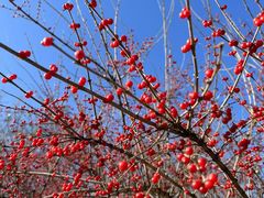 -野鸭湖国家湿地公园
