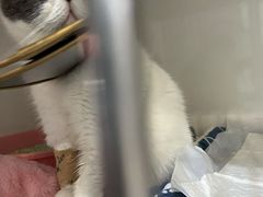 -萌兽医馆·眼科·异宠专科(三里屯店)