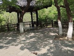 -佛慧山
