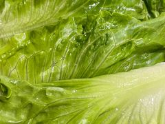 -潮陈记土鸡火锅(东厦北路店)