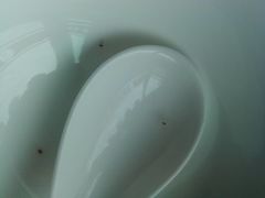 碗-焯宇豆皮涮牛肚