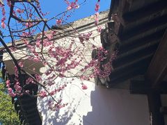 -苏州上方山国家森林公园