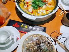 -龙梅肥肠鱼(明瓦廊店)