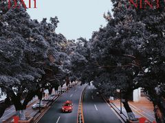 -狐狸和向日葵(北京路店)