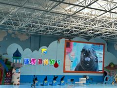 -蓬莱欧乐堡海洋极地世界