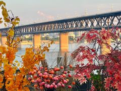 -汉水谣·江景餐厅(江滩店)