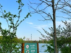 -昆山城市生态森林公园