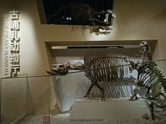 -国家自然博物馆