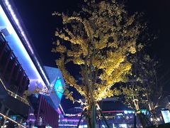 -享月汤皇·海鲜小火锅·聚会(曲江创意谷店)