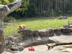 -宁波野生动物园