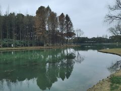 -新洲生态园