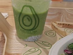 -油梨树 AVOCADO TREE(亮马桥店)