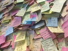 -一杯黔茶(西江千户苗寨古街店)