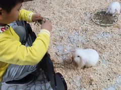 -上海大自然野生昆虫馆(东方明珠·爬宠昆虫探索中心)