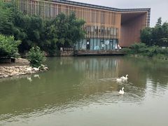 -田园东方蜜桃村的田野营地