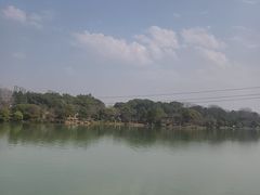 -八大山人梅湖景区