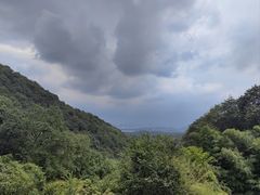 -韬光茶庵
