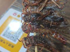 -巴犀烧烤(新崇光店)