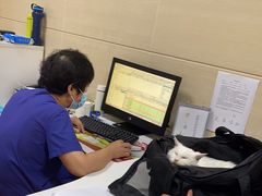-北京观赏动物医院·24小时大型综合·猫专科·异宠专科