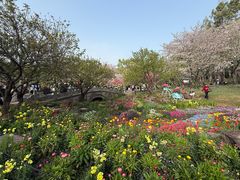 -北京上方山国家森林公园