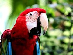 -广州长隆野生动物世界