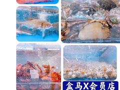 -盒马X会员店(王府井奥莱UP TOWN店)