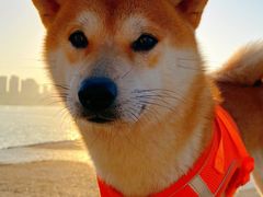 -碧桂园十里银滩