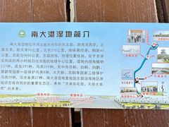 -南大港湿地风景区