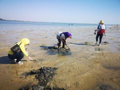 -北海金海湾红树林生态旅游区