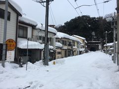 -城崎温泉 外七汤