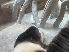 -宁波野生动物园